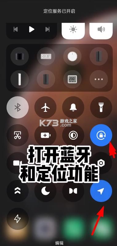 蚂蚁保护板app