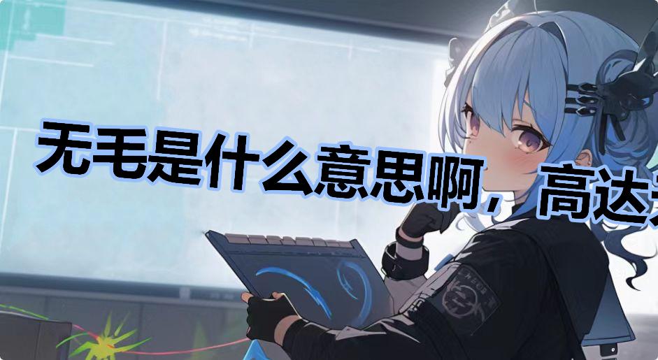 无毛是什么意思啊，高达无毛是什么梗
