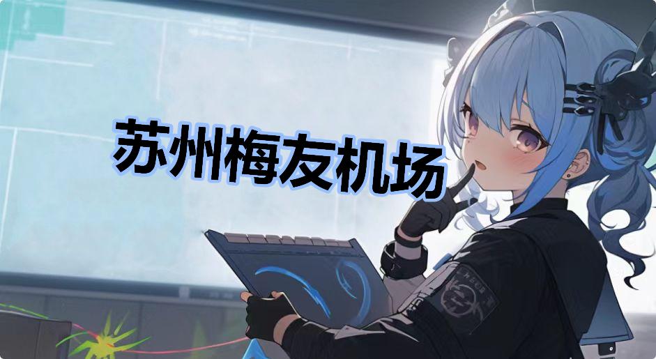 苏州梅友机场是什么梗-苏州梅友机场是什么意思